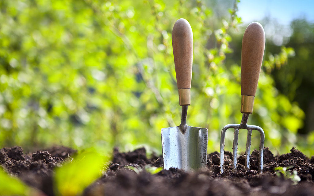 13 Reasons Why 13 Reasons Why Gardening Is Good For Your Health Is Good For Your Health