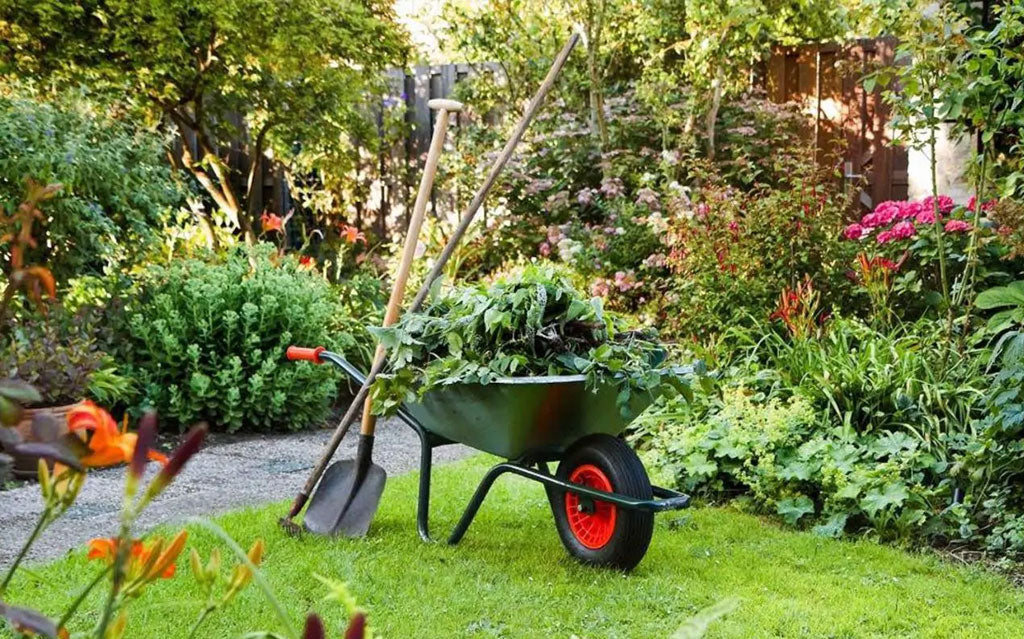 Can Landscaping Protect a Home from Wildfire?