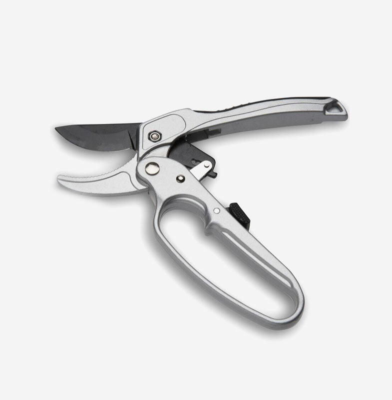 Ratchet Pruner