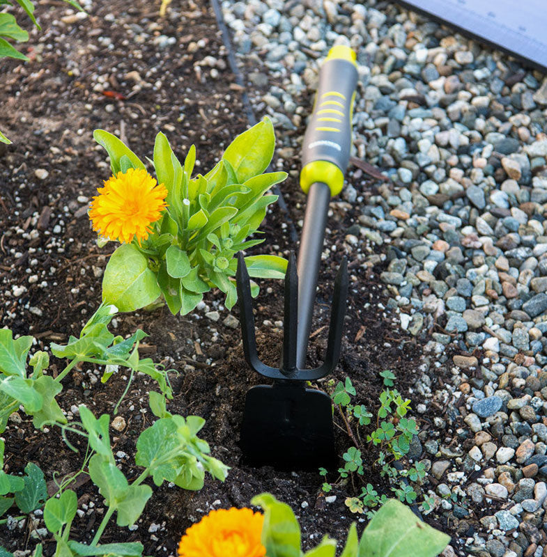 Intervale Essential Garden Tools
