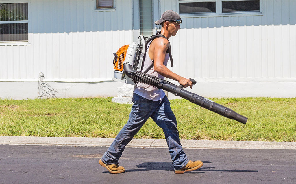 13 New Rules for City Gardening